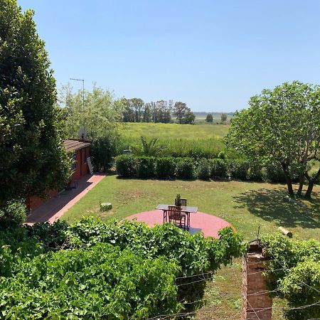 Casale Degli Ulivi Maccarese Villa Le Cerquete Exteriör bild