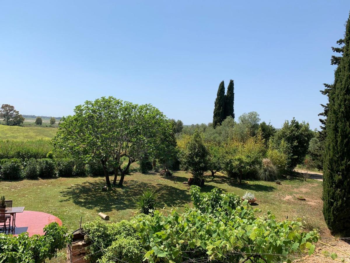 Casale Degli Ulivi Maccarese Villa Le Cerquete Exteriör bild