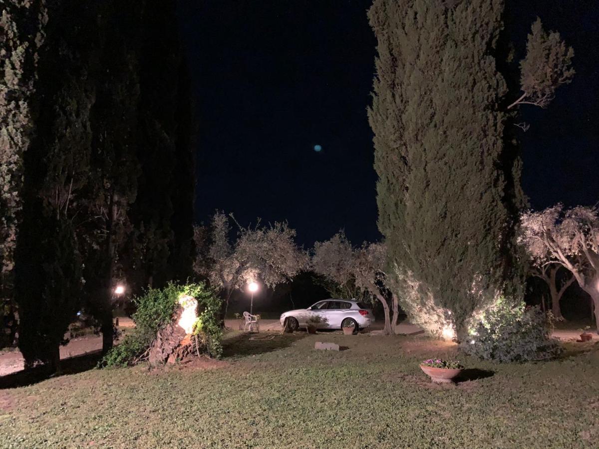 Casale Degli Ulivi Maccarese Villa Le Cerquete Exteriör bild