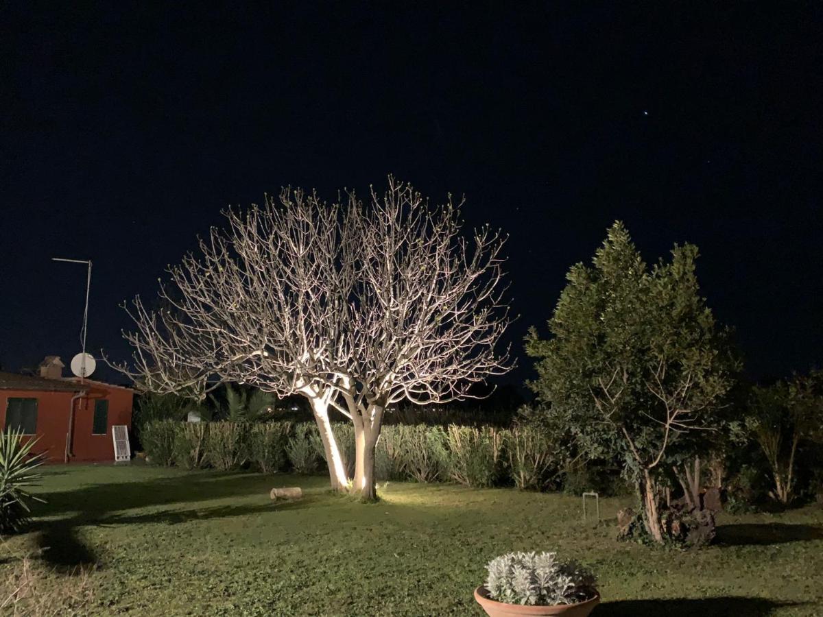 Casale Degli Ulivi Maccarese Villa Le Cerquete Exteriör bild