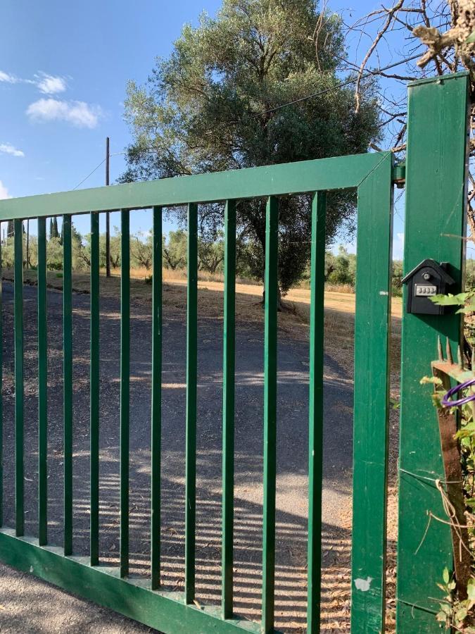 Casale Degli Ulivi Maccarese Villa Le Cerquete Exteriör bild