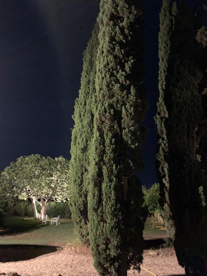 Casale Degli Ulivi Maccarese Villa Le Cerquete Exteriör bild
