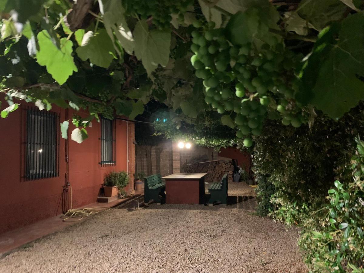 Casale Degli Ulivi Maccarese Villa Le Cerquete Exteriör bild