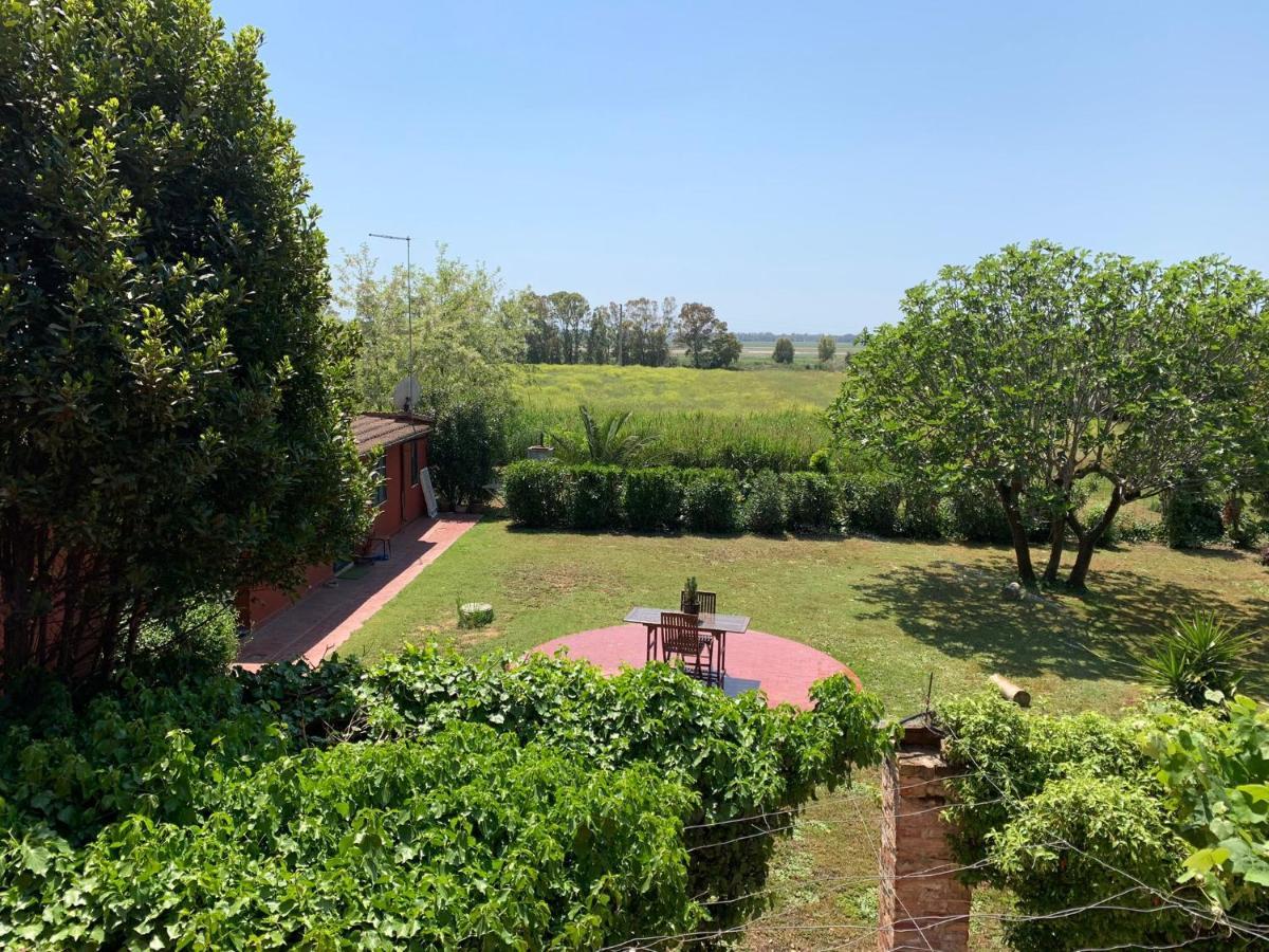 Casale Degli Ulivi Maccarese Villa Le Cerquete Exteriör bild